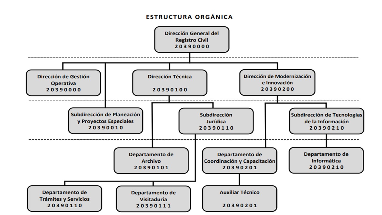 Organigrama del Registro Civil Morelos